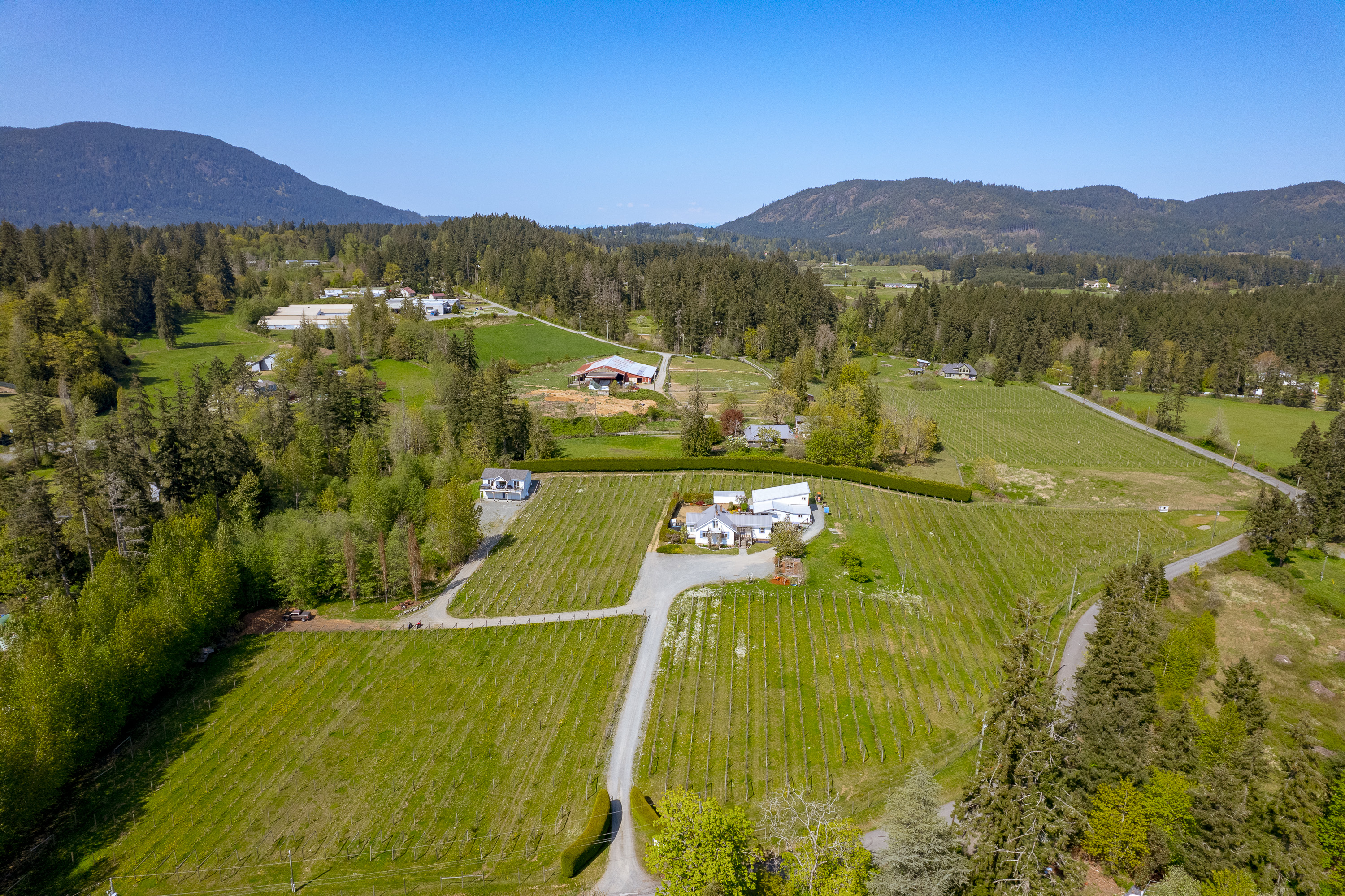 Emandare Winery and Vineyard